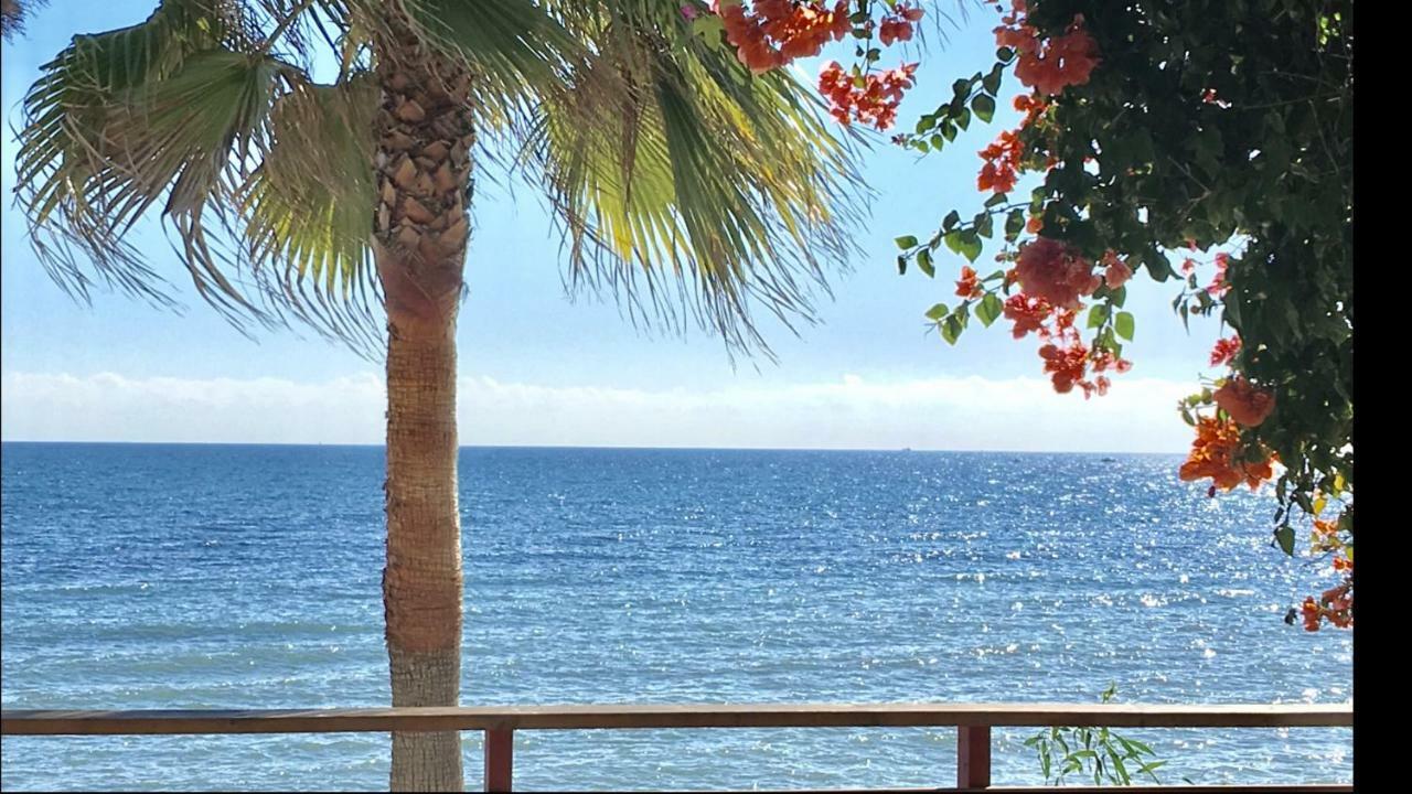 Mi Capricho C16 Beachfront Apartment Sitio de Calahonda Extérieur photo